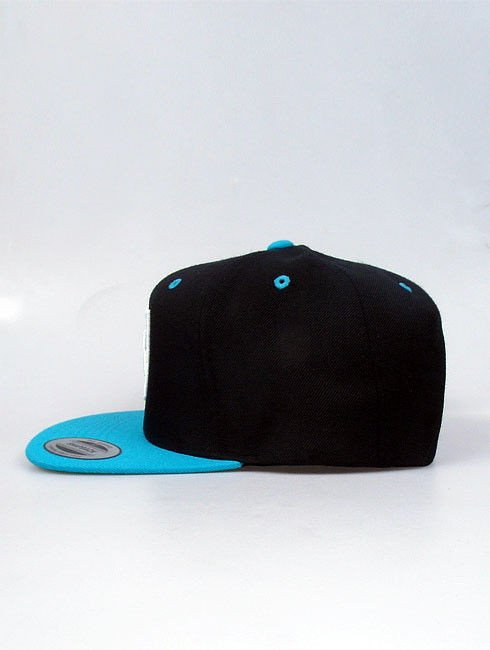 Czapka Nervous Sb Sp14 Shield Blk/Tur