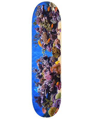 Deska Mini Logo Fish Tank 8.0