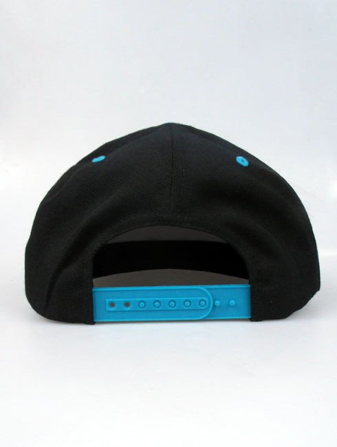Czapka Nervous Sb Sp14 Shield Blk/Tur